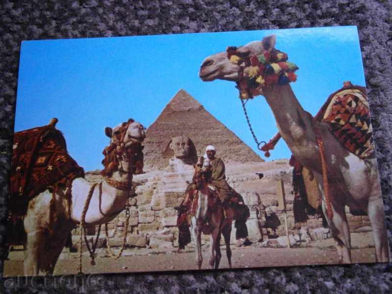 Carte poștală Giza - Egipt - Sfinxul PIRAMIDA șemineu - 80