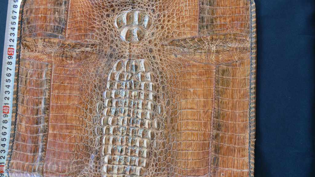 Auction CROCODILE SKIN Auction CROCODILE SKIN