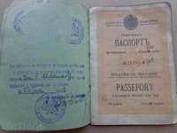 Old royal passport, passport document