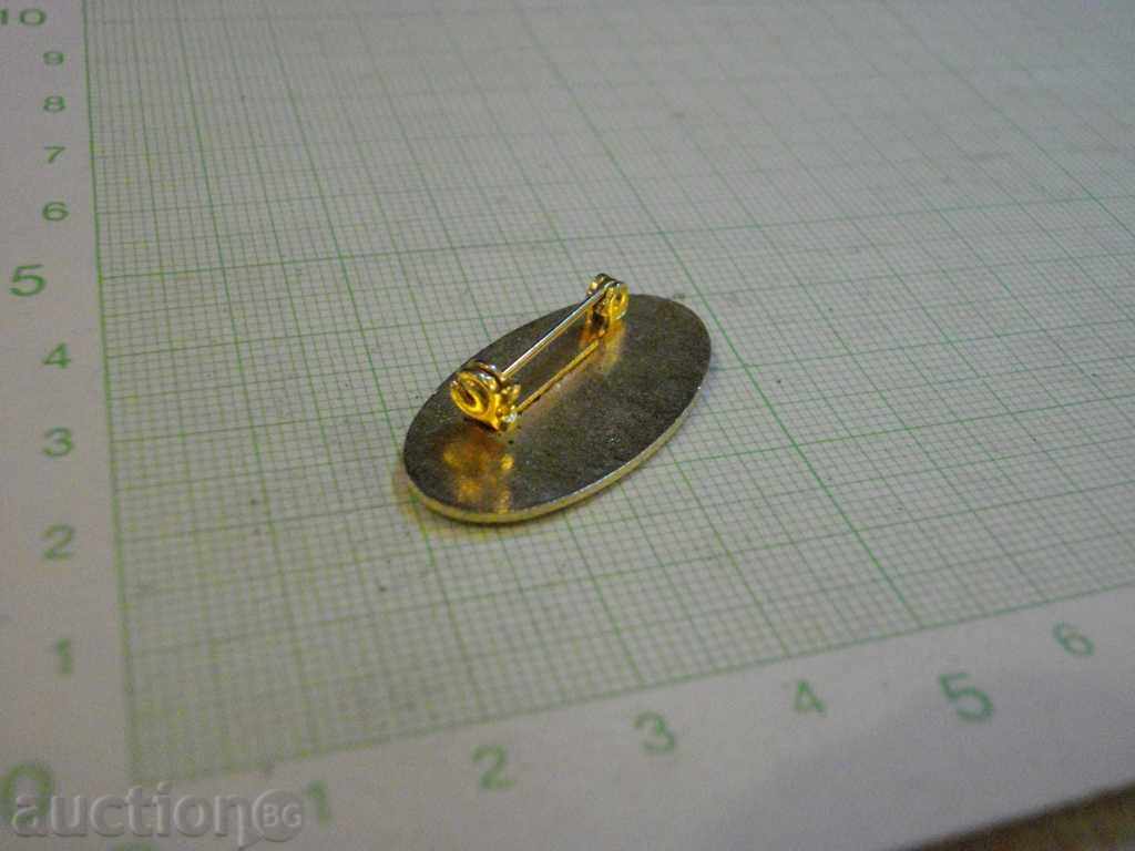 Badge "Pace distributed world-wide" - 5 Badge "Pace distributed world-wide" - 5