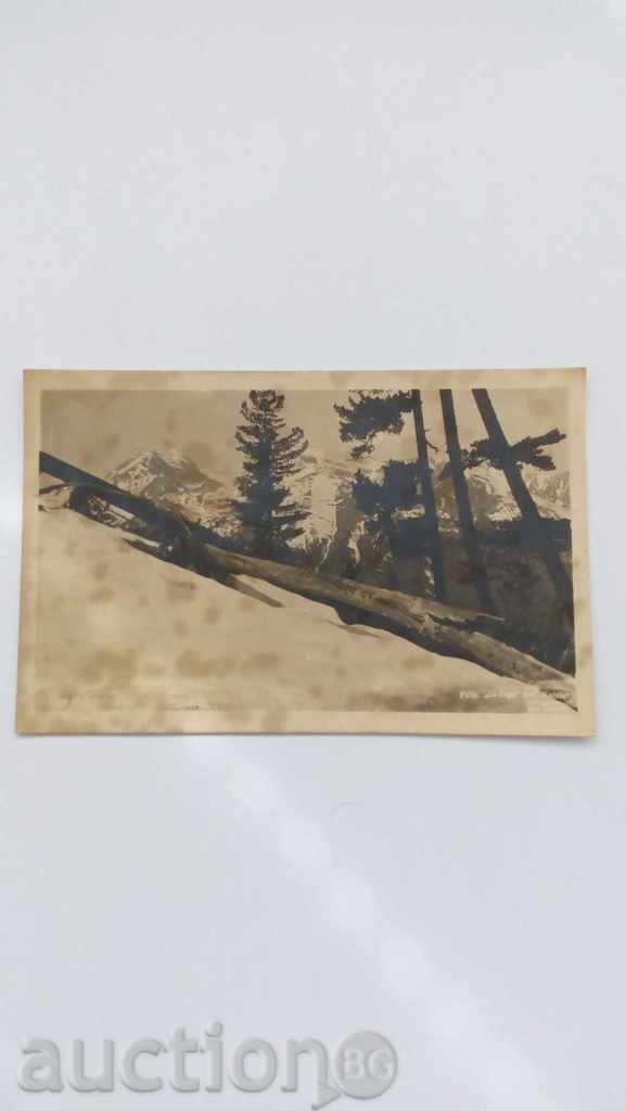 Carte poștală Pirina Bp. Ela-Tepe și vârf. Kutelo 1948