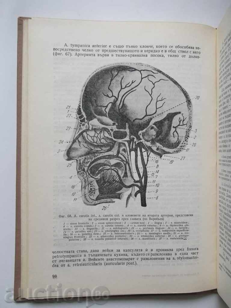 Anatomy of the vascular system - Dimitar Kadanov 1957 with price 22.00 BGN | € 11.25 Anatomy of the vascular system - Dimitar Kadanov 1957 with price 22.00 BGN | € 11.25