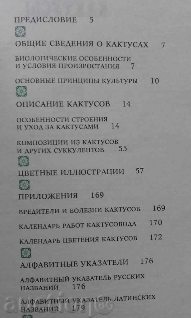 Auction Кактусы - Д. Н. Широбокова, М. Р. Королева, О. Н. Голодняк Auction Кактусы - Д. Н. Широбокова, М. Р. Королева, О. Н. Голодняк