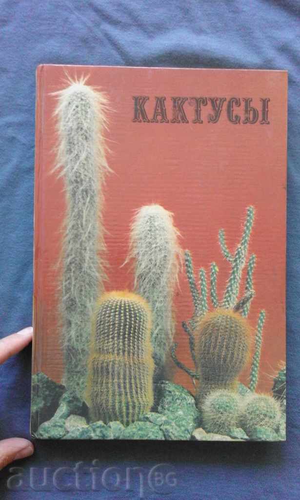 Kaktusы - DN Shirobokova, M. R. Korolev, A. N. Golodnyak