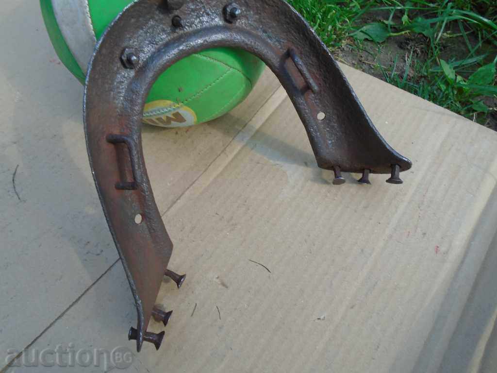 Delivery of PART OF THE SADDLE - MOUTH Delivery of PART OF THE SADDLE - MOUTH