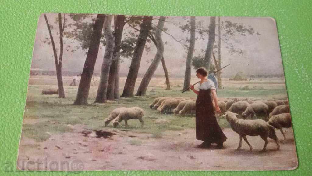STAR KARTIČKA GIRL WITH SHEEP COLOR