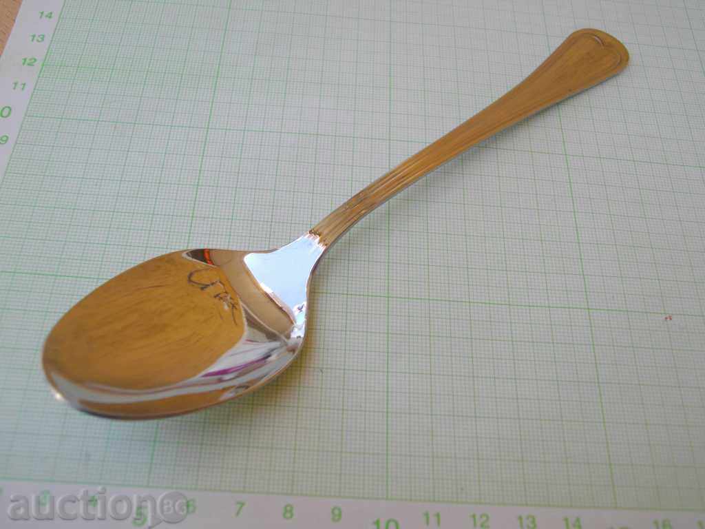 Delivery of Spoon new Delivery of Spoon new