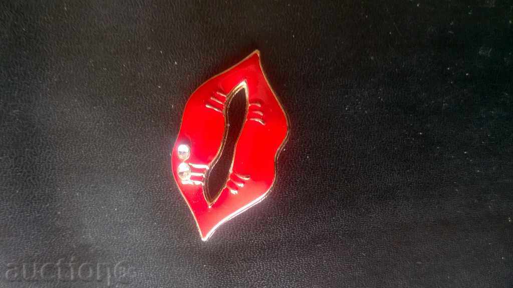 Licitație partid insigna broșă