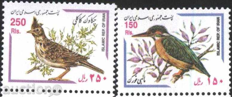 mărcile curate Păsări Faună 1999 de către Iran