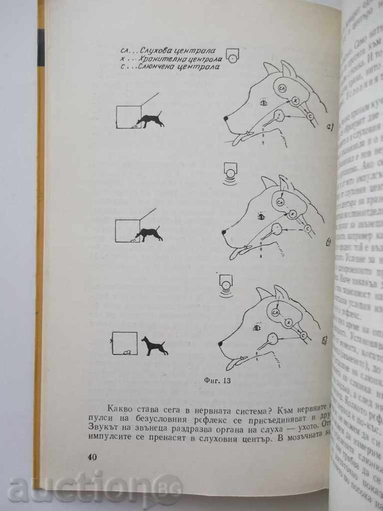 Auction How to Understand the Animals World - Otter Horak 1961 Auction How to Understand the Animals World - Otter Horak 1961