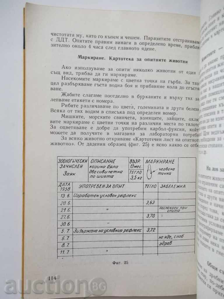 Delivery of How to Understand the Animals World - Otter Horak 1961 Delivery of How to Understand the Animals World - Otter Horak 1961