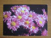 Пощенска картичка. Цветя