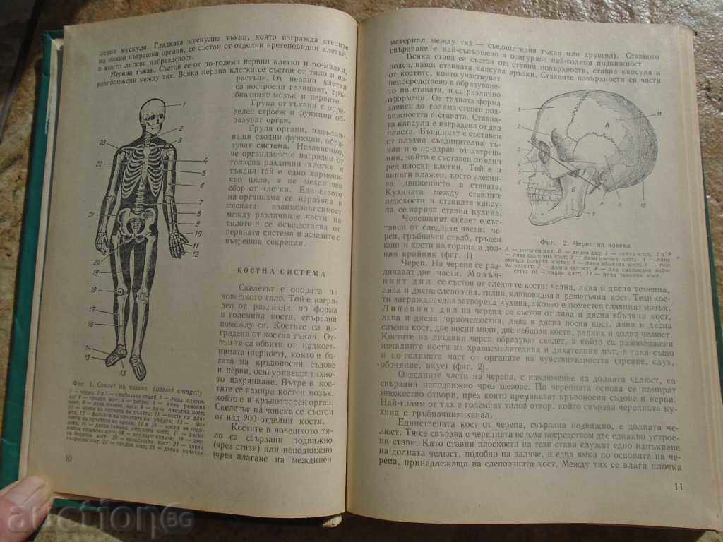 Licitație BRC - manual EXCELENT