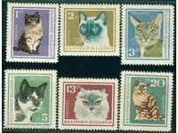1774 Bulgaria 1967 Cats. **