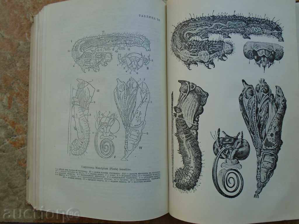 1949 CURS Zoologie TOM - 1. 548 p EXCELENT. - 5
