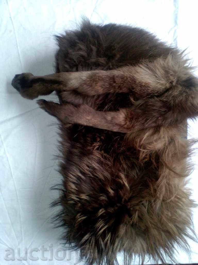 Παλιά καπέλο κυνηγός ΔΕΡΜΑ - 5 Παλιά καπέλο κυνηγός ΔΕΡΜΑ - 5