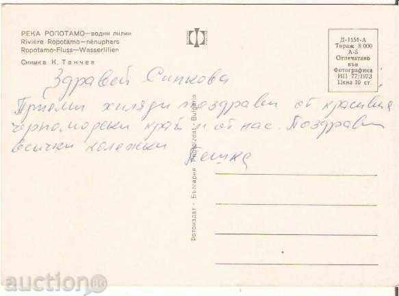 Card Bulgaria Ropotamo River Water Lilies 1* with price 0.70 BGN | € 0.36