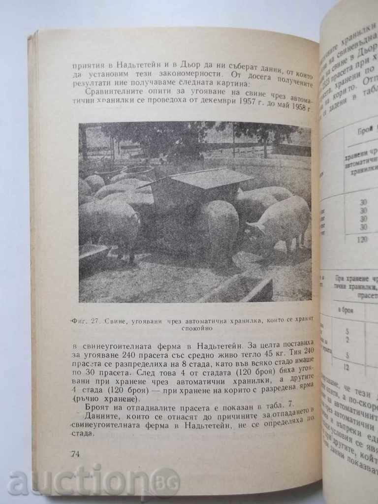 Εκτροφή και πάχυνση χοίρων από αυτόματοι τροφοδότες με τιμή 8.00 BGN | € 4.09 Εκτροφή και πάχυνση χοίρων από αυτόματοι τροφοδότες με τιμή 8.00 BGN | € 4.09