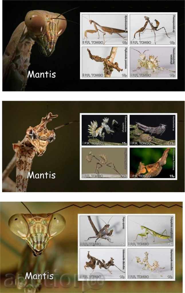 Clean and Blocks Fauna Insects Mantis 2010 from Tongo