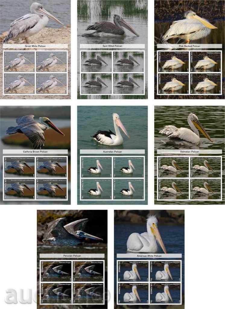 Чист и блокове Фауна Птици Пеликани 2011 от  Тонго