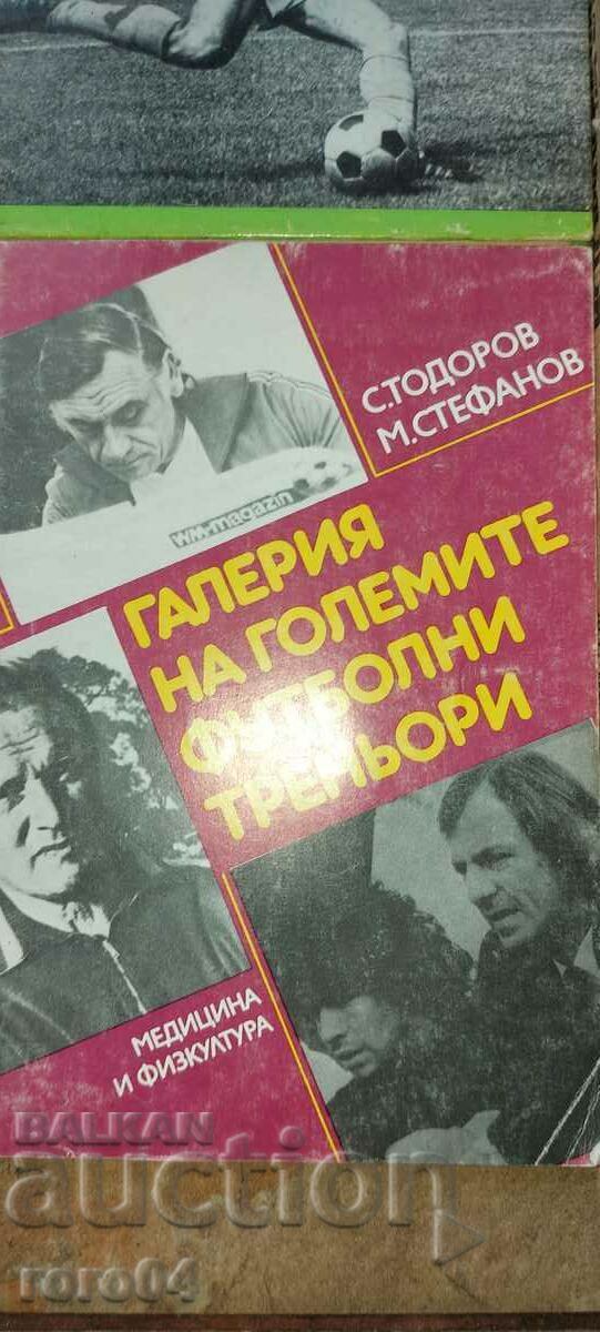 FOOTBALL - 6 pcs. - 5 FOOTBALL - 6 pcs. - 5