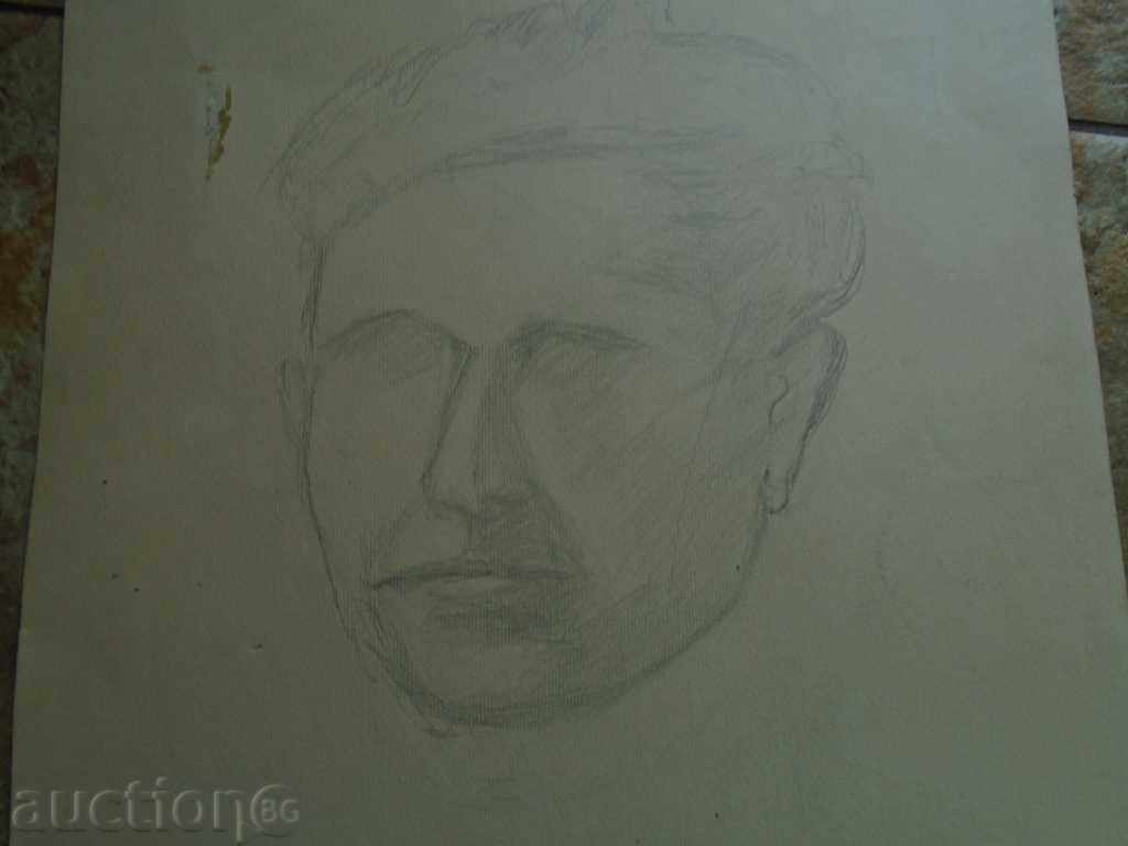 STAR PORTRAIT - 5 STAR PORTRAIT - 5