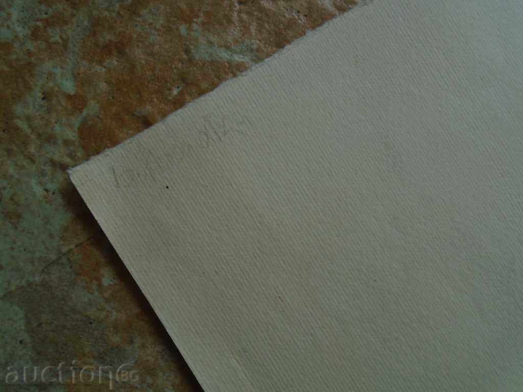 STAR PORTRAIT - 6 STAR PORTRAIT - 6