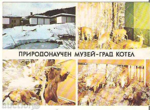 Card Bulgaria Boiler Natural History Museum 1 *