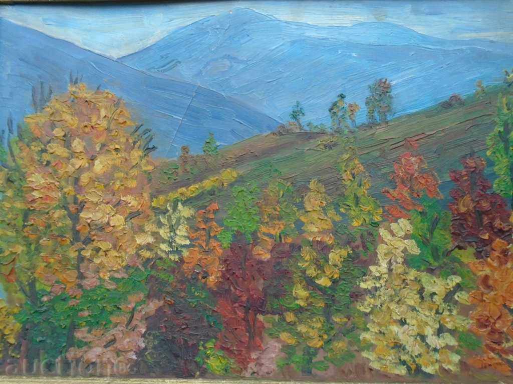 STAR MOUNTAIN ΤΟΠΙΟ με τιμή 99.00 BGN | € 50.62