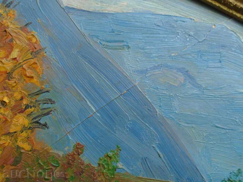 Δημοπρασία STAR MOUNTAIN ΤΟΠΙΟ