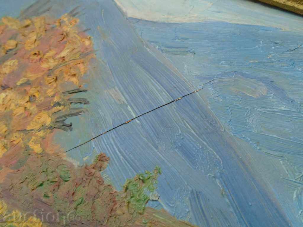 STAR MOUNTAIN ΤΟΠΙΟ - 6