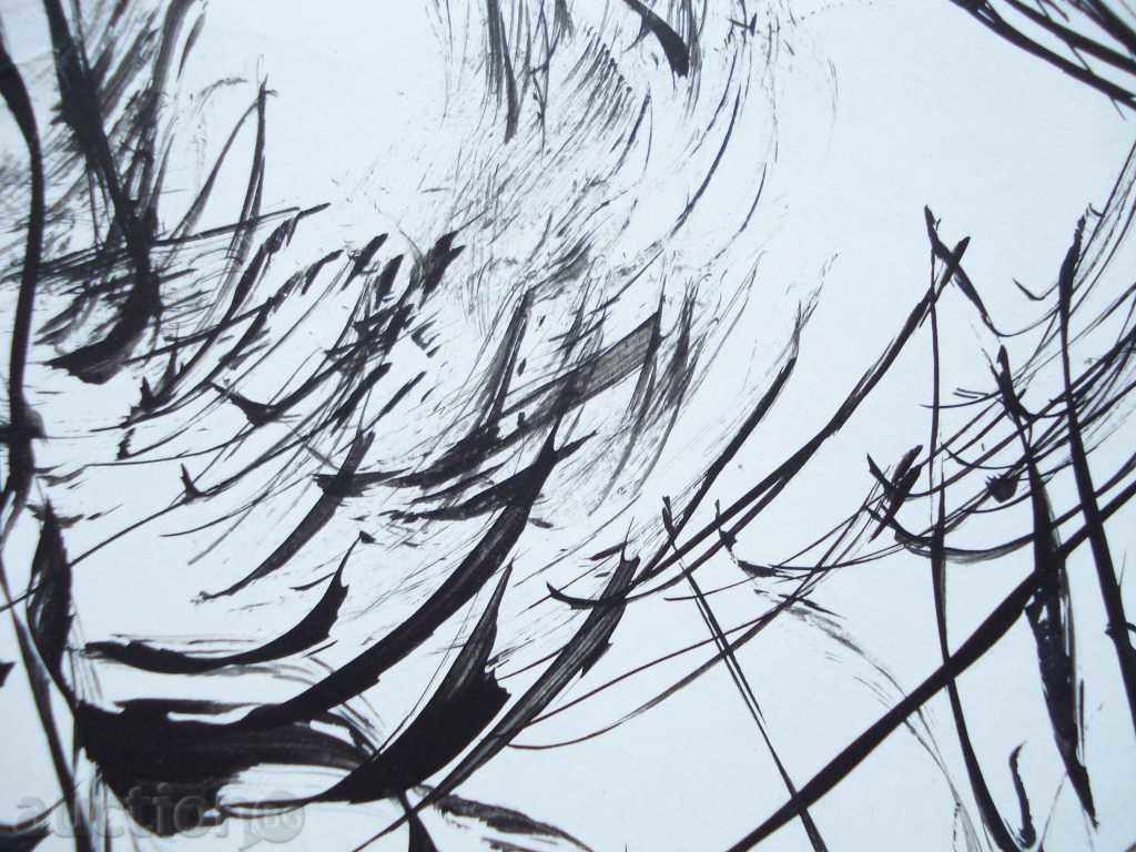 712 Unrecognized portrait photographer Nikolay Tsonev signed 1997 with price 20.00 BGN | € 10.23 712 Unrecognized portrait photographer Nikolay Tsonev signed 1997 with price 20.00 BGN | € 10.23