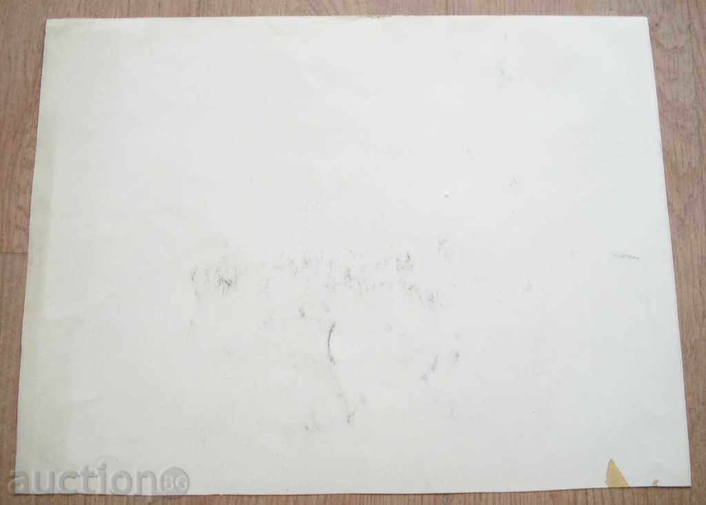 Delivery of 731 Milena Boycheva interior P.36 / 48cm