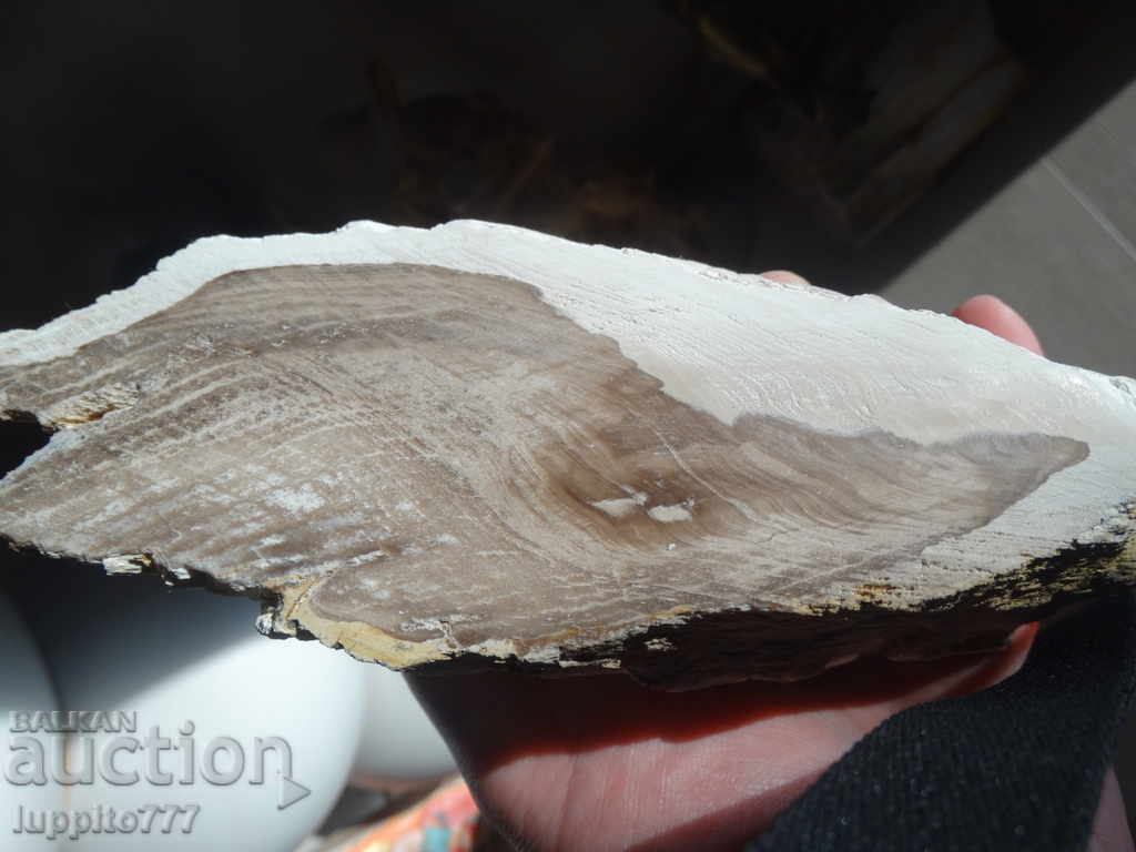 Delivery of fossilized wood - polished - opalescent Delivery of fossilized wood - polished - opalescent