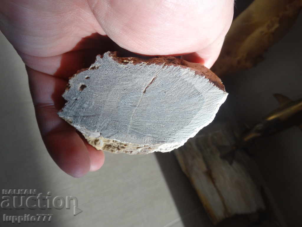 fossilized wood - polished - opalescent - 6 fossilized wood - polished - opalescent - 6