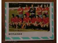 CARD WITH THE SOCCER TEAM OF SPAIN