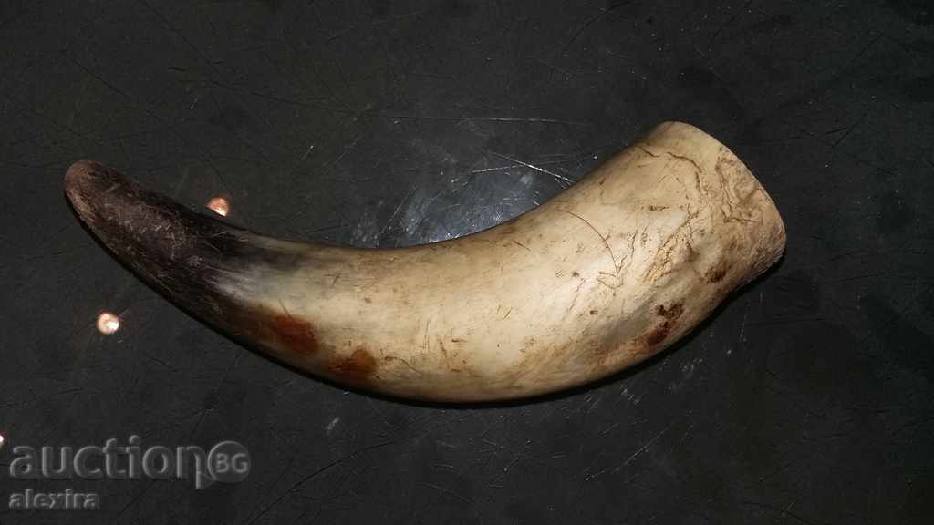 buffalo horn with price 30.00 BGN | € 15.34 buffalo horn with price 30.00 BGN | € 15.34