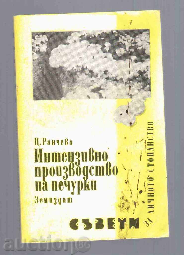 INTENSIVE cultivarea ciupercilor (1989)