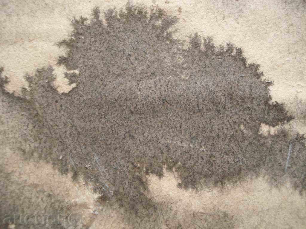 794 Unknown author Mountain landscape watercolor Р.39 / 62см with price 20.00 BGN | € 10.23 794 Unknown author Mountain landscape watercolor Р.39 / 62см with price 20.00 BGN | € 10.23