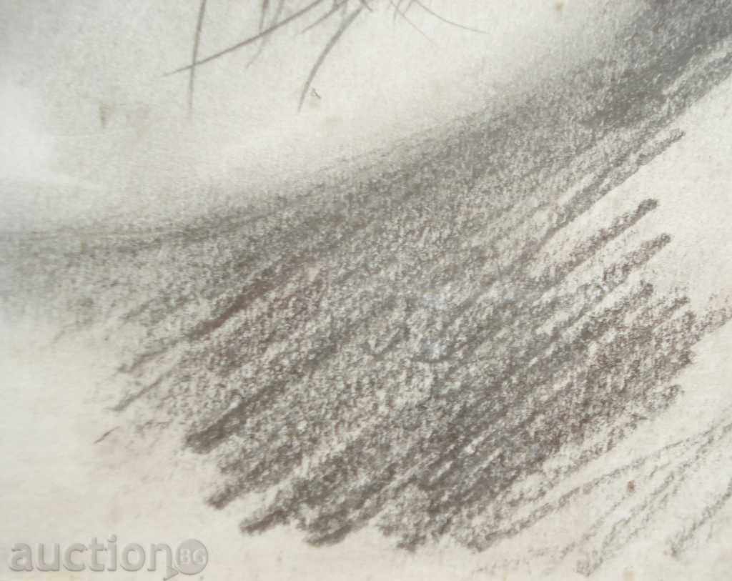 800 Vessela Lozarova Self-portrait 1983 signed P.49 / 35cm with price 20.00 BGN | € 10.23