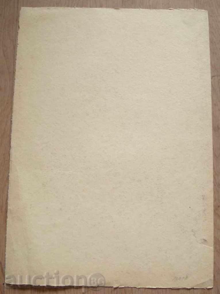 802 Nadezhda Stoyanova self-portrait signed P.50 / 35cm - 5