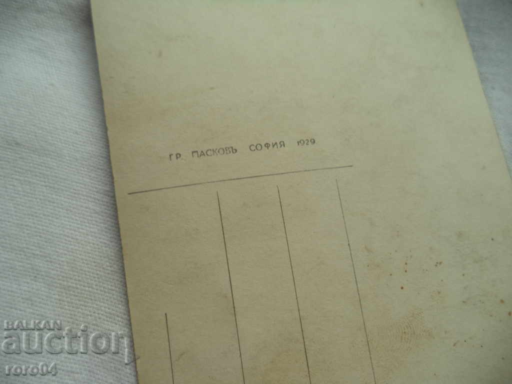 БАНЯ - ЧЕПИНО , ПЕЙЗАЖ ИЗ ДЕФИЛЕТО НА РЕКА БИСТРИЦА - 5 БАНЯ - ЧЕПИНО , ПЕЙЗАЖ ИЗ ДЕФИЛЕТО НА РЕКА БИСТРИЦА - 5