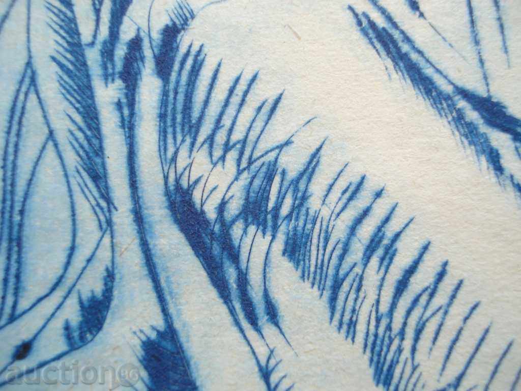 824 Unknown author Female spider dry needle P.17 / 25см with price 20.00 BGN | € 10.23 824 Unknown author Female spider dry needle P.17 / 25см with price 20.00 BGN | € 10.23