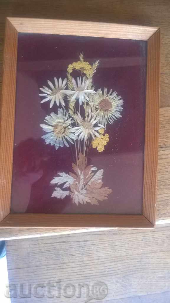 PICTURE - DRY FLOWERS - BEAUTY with price 20.00 BGN | € 10.23 PICTURE - DRY FLOWERS - BEAUTY with price 20.00 BGN | € 10.23