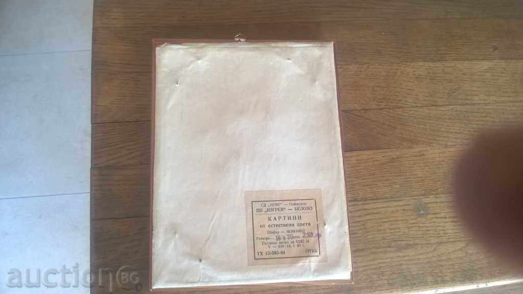 Auction PICTURE - DRY FLOWERS - BEAUTY Auction PICTURE - DRY FLOWERS - BEAUTY