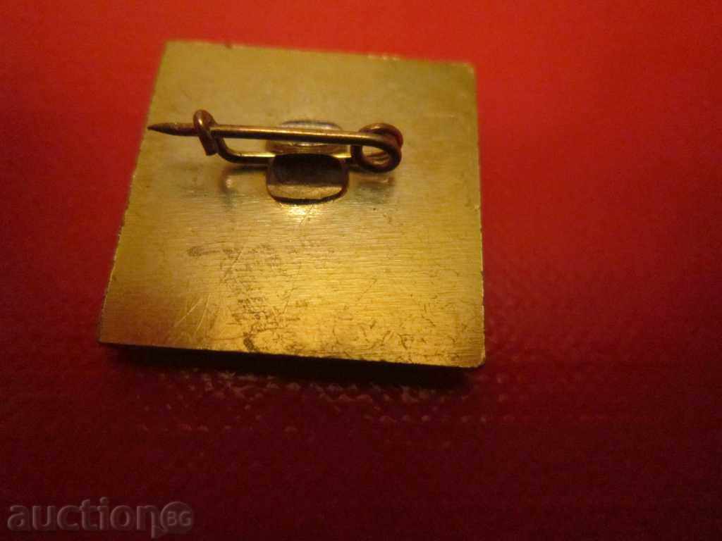 Auction Badge embroidery badge fight Varna 82 fillets Auction Badge embroidery badge fight Varna 82 fillets