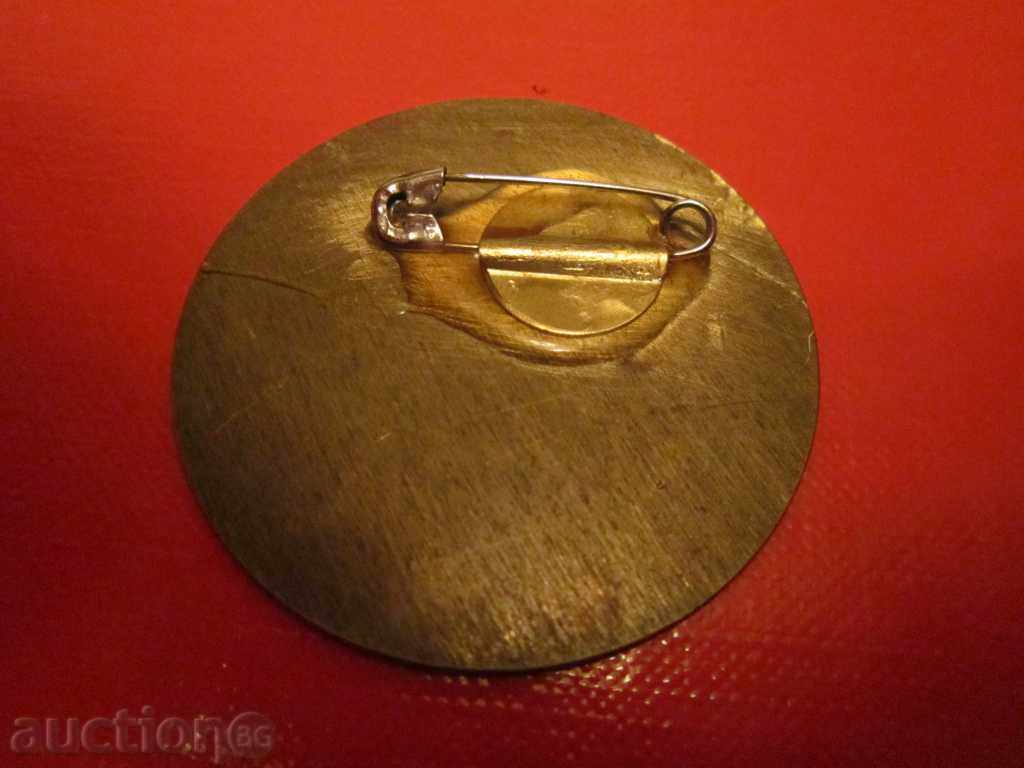 Delivery of Russian badge medal struggle sambo judo participant bronze enamel Delivery of Russian badge medal struggle sambo judo participant bronze enamel