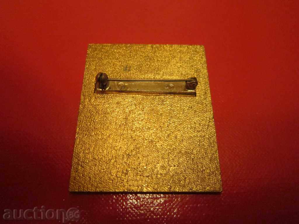 Badge badge badge winter winter 1983 techn. face - 5 Badge badge badge winter winter 1983 techn. face - 5