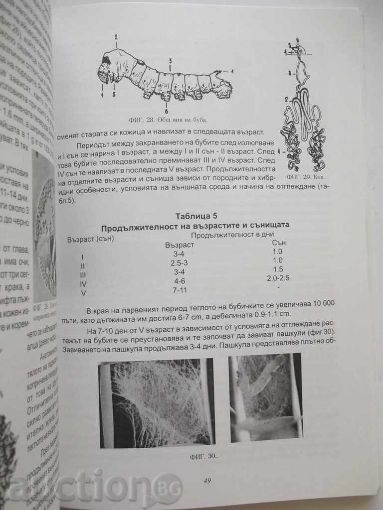 Auction Practical Rearing - Evripidis Kypirotis, Naum Petkov Auction Practical Rearing - Evripidis Kypirotis, Naum Petkov