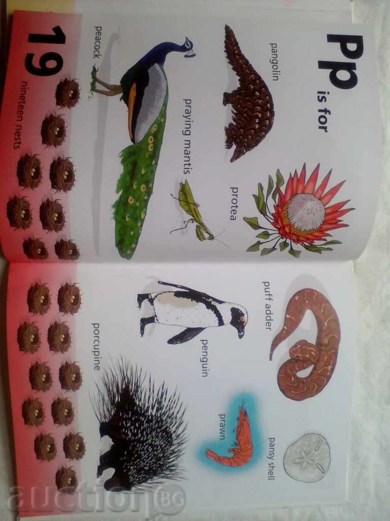 Licitație fauna sălbatică africană carte faunei sălbatice african Licitație fauna sălbatică africană carte faunei sălbatice african